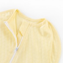 Пеленка-кокон на молнии 0-3 мес Light Yellow  Dexter`s  Желтый d146-2аж-ж  0-3м (d146-2аж-ж)