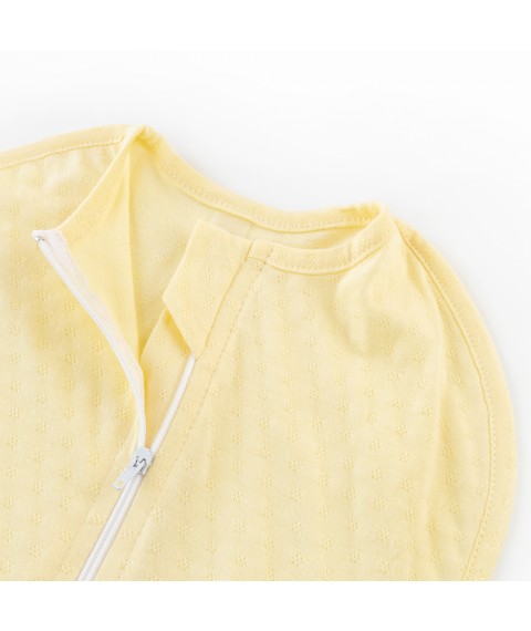 Пеленка-кокон на молнии 0-3 мес Light Yellow  Dexter`s  Желтый d146-2аж-ж  0-3м (d146-2аж-ж)