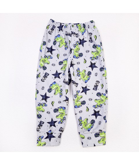 Dino Cool Dexter`s Children's Down Pajamas Dark Blue; Gray d303dn-kl 110 cm (d303dn-kl)