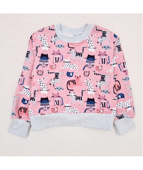 Пижама для девочки из футера Kittens  Dexter`s  Розовый d303кт-рв  110 см (d303кт-рв)