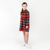 Children's dress with fur Scotland Dexter`s Red d370rm-ngtg 98 cm (d370rm-ngtg)