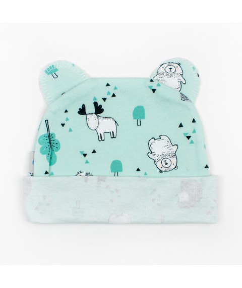 Hat with ears Hedgehog Dexter`s Menthol 962 40 (d962еж)