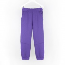Спортивные штаны тринитка детские violet Dexter`s  Dexter`s  Фиолетовый d2166-5  122 см (d2166-5)