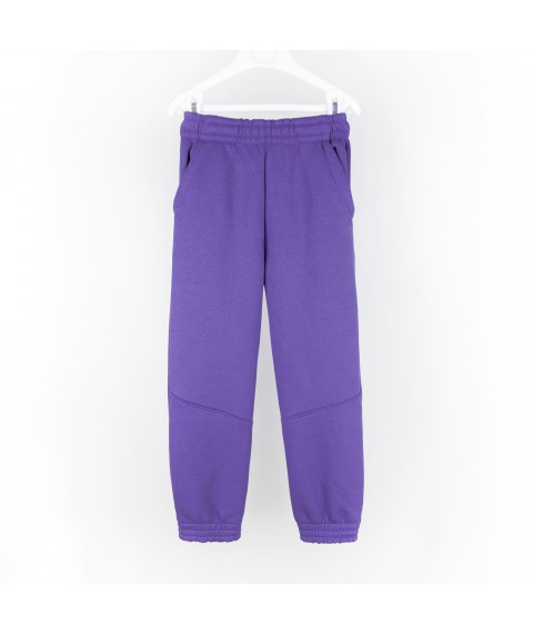 Спортивные штаны тринитка детские violet Dexter`s  Dexter`s  Фиолетовый d2166-5  152 см (d2166-5)