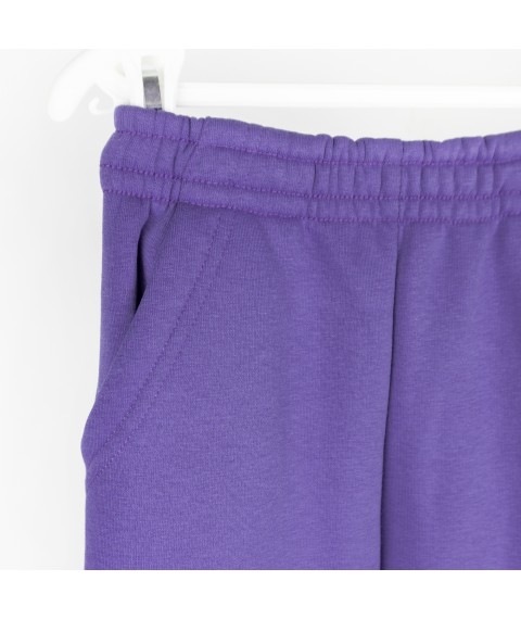 Спортивные штаны тринитка детские violet Dexter`s  Dexter`s  Фиолетовый d2166-5  152 см (d2166-5)