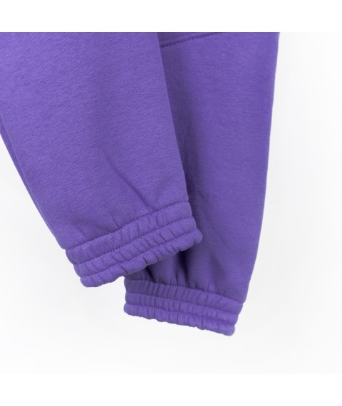 Спортивные штаны тринитка детские violet Dexter`s  Dexter`s  Фиолетовый d2166-5  152 см (d2166-5)