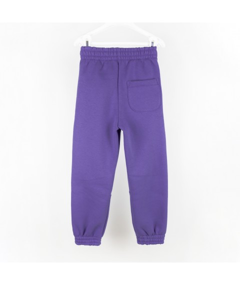 Спортивные штаны тринитка детские violet Dexter`s  Dexter`s  Фиолетовый d2166-5  152 см (d2166-5)