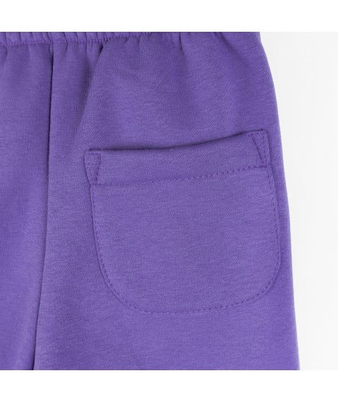 Спортивные штаны тринитка детские violet Dexter`s  Dexter`s  Фиолетовый d2166-5  152 см (d2166-5)