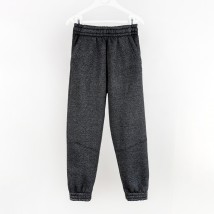 Детские спортивные штаны graphite Dexter`s  Dexter`s  Серый d2166-3  134 см (d2166-3)