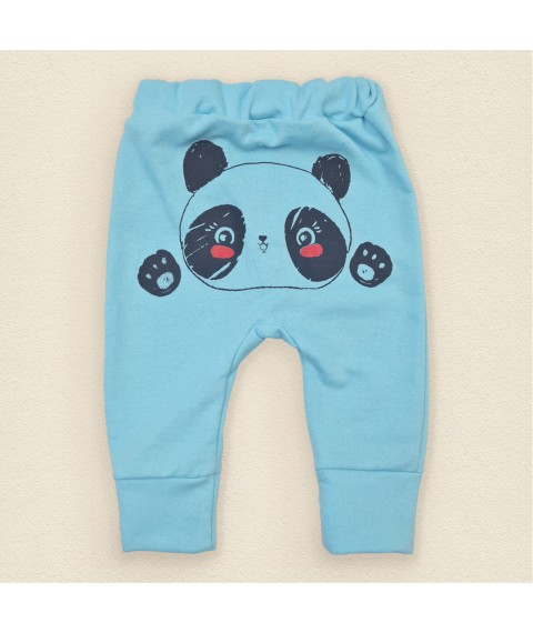 Panda Dexter`s blue pants Blue d303gb-pd 68 cm (d303gb-pd)