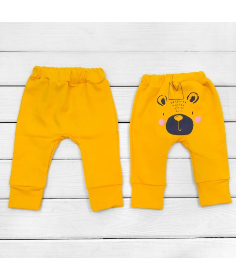 Детские трикотажные штаны на осень с начесом Panda  Dexter`s  Оранжевый d303ор-нс  74 см (d303ор-нс)