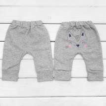 Foxye Dexter`s children's pants with nachos demi-season Gray d303sr-ls 74 cm (d303sr-ls)