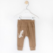 Kids' knitted brown pants Gecko Dexter`s Brown 924 74 cm (D924-1)