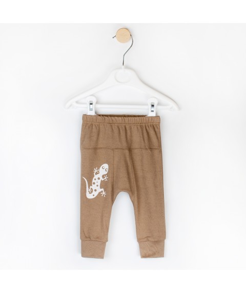 Kids' knitted brown pants Gecko Dexter`s Brown 924 74 cm (D924-1)