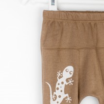 Kids' knitted brown pants Gecko Dexter`s Brown 924 74 cm (D924-1)