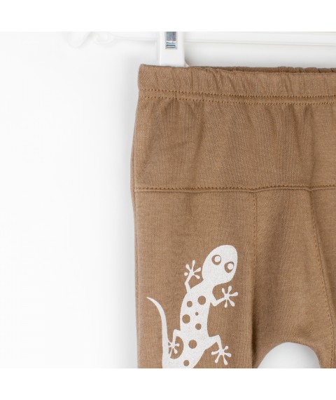 Kids' knitted brown pants Gecko Dexter`s Brown 924 86 cm (D924-1)