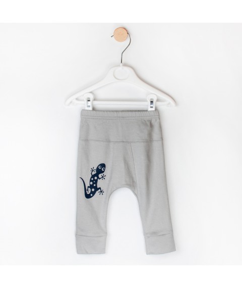 Knitted children's gray pants with Gecko print Dexter`s Gray 924 74 cm (d924-2)