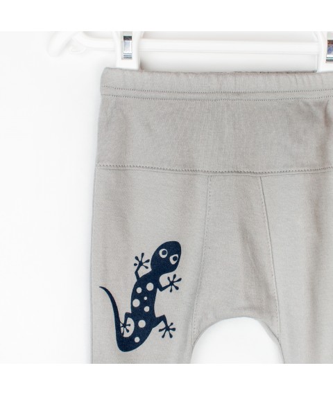 Knitted children's gray pants with Gecko print Dexter`s Gray 924 122 cm (d924-2)