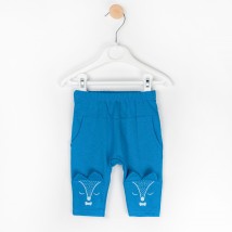 Детские штаны Лисенок  Dexter`s  Синий 342  68 см (342СН)