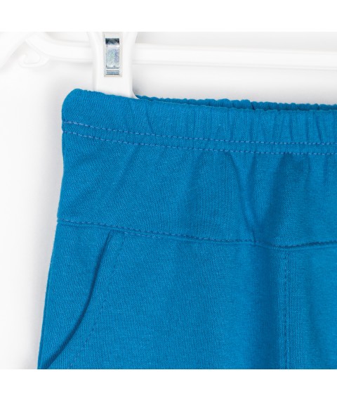 Children's pants Fox Dexter`s Blue 342 74 cm (342СН)