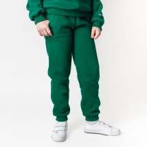 Теплые спортивные штаны emerald Dexter`s  Dexter`s  Зеленый d2166-4  122 см (d2166-4)