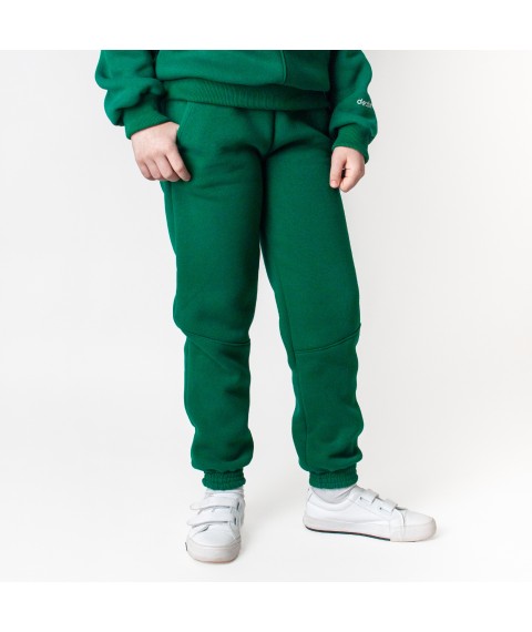Теплые спортивные штаны emerald Dexter`s  Dexter`s  Зеленый d2166-4  134 см (d2166-4)