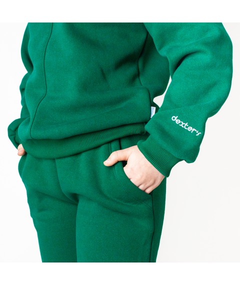 Теплые спортивные штаны emerald Dexter`s  Dexter`s  Зеленый d2166-4  146 см (d2166-4)