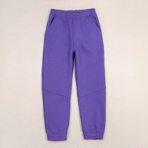 Спортивні штани тринитка дитячі violet Dexter`s  Dexter`s  Фіолетовий d2166-5  122 см (d2166-5)