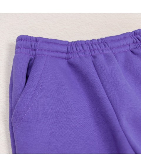 Спортивные штаны тринитка детские violet Dexter`s  Dexter`s  Фиолетовый d2166-5  134 см (d2166-5)