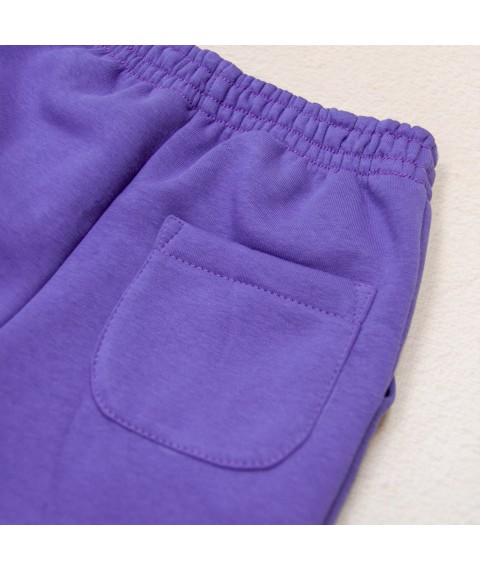 Спортивные штаны тринитка детские violet Dexter`s  Dexter`s  Фиолетовый d2166-5  152 см (d2166-5)