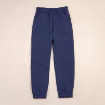 Спортивные штаны детские blue Dexter`s  Dexter`s  Темно-синий  d2166-2  152 см (d2166-2)