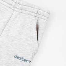 Dexter`s Dexter`s Children's trousers with pockets and cuffs Gray d2165-1 86 cm (d2165-1)