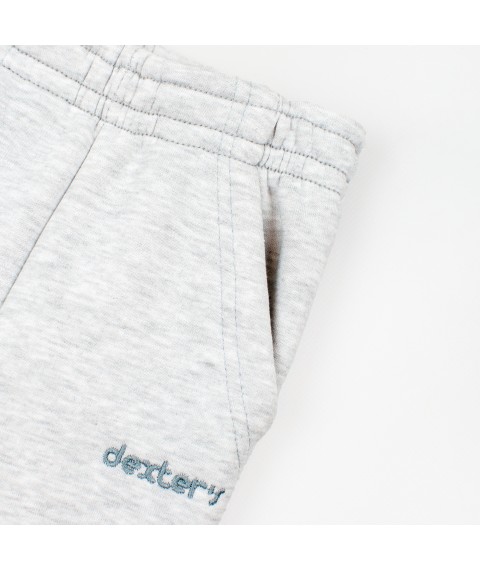 Детские штаны с карманами та манжетами Dexter`s  Dexter`s  Серый d2165-1  122 см (d2165-1)