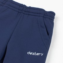 Джогери дитячі з тринитки сині Dexter`s  Dexter`s  Темно-синій d2165-2  86 см (d2165-2)