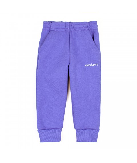 Детские штаны с карманами тринитка violet Dexter`s  Dexter`s  Фиолетовый d2165-5  98 см (d2165-5)