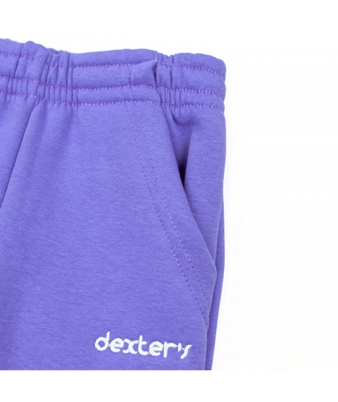 Дитячі штани з кишенями тринитка violet Dexter`s  Dexter`s  Фіолетовий d2165-5  98 см (d2165-5)