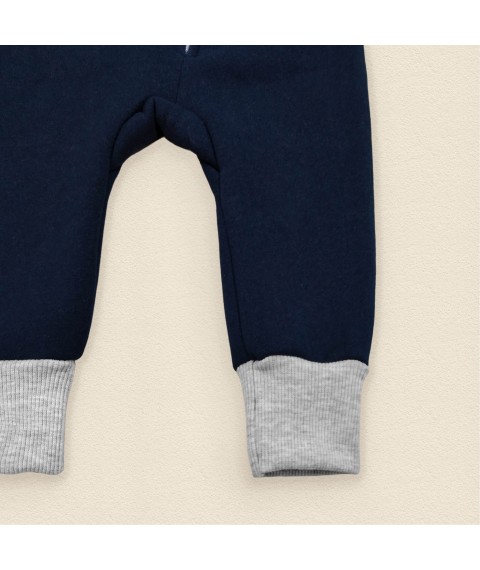 Stan Dexter`s fleece warm overalls with a hat Dark blue; Gray 2144 86 cm (d2144-1)