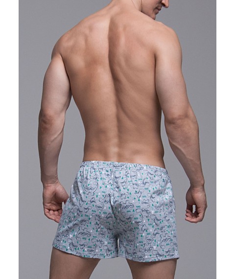 Men's underpants No. 29