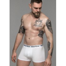 Men's underpants #1122