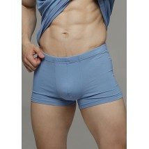 Men's underpants #1118