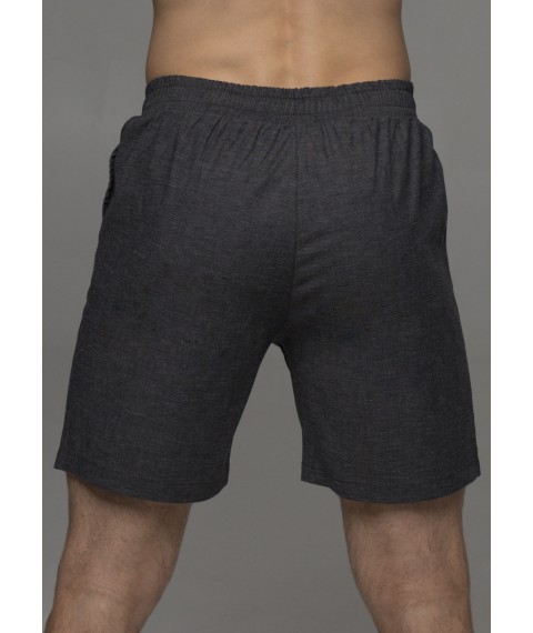 Men's shorts #1512