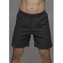 Men's shorts #1512