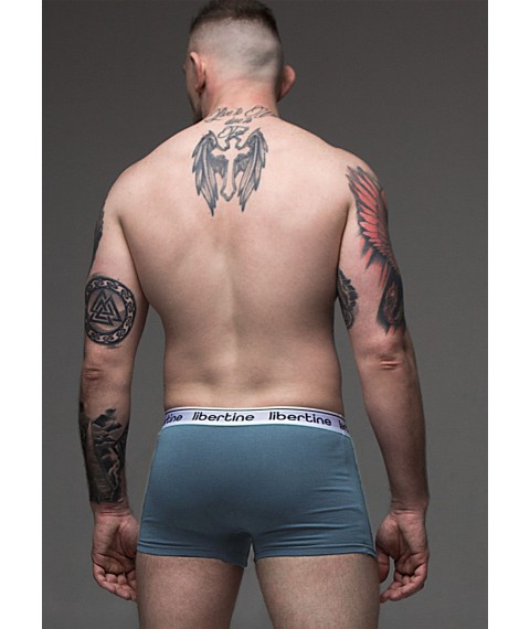 Men's underpants #1447
