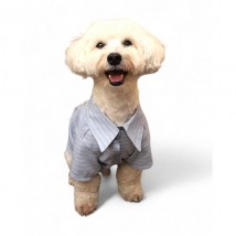 Сорочка з рукавом для собаки Style Pets Shotti