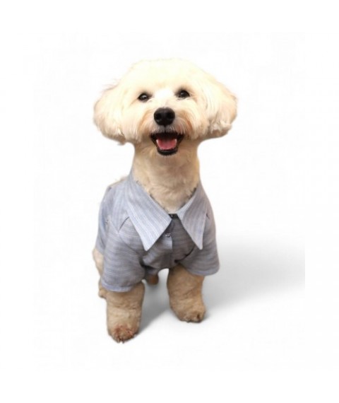 Сорочка з рукавом для собаки Style Pets Shotti