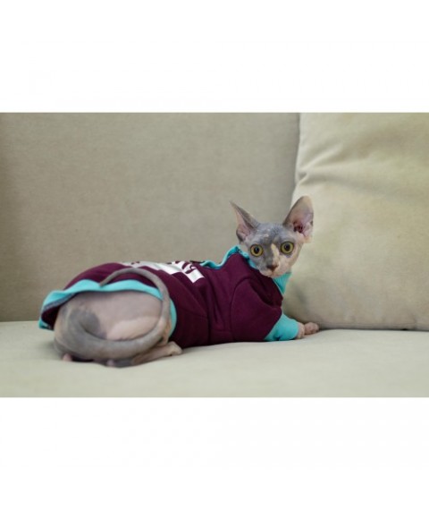 Тепла кофта з рукавом для кота та кішки Style Pets ILMSPH-ripe cherry