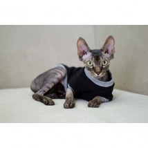 Тепла кофта з рукавом для кота та кішки Style Pets «Tik Tok» black
