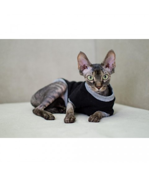 Тепла кофта з рукавом для кота та кішки Style Pets «Tik Tok» black