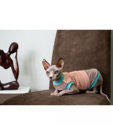 Кофта без рукава для кота та кішки Style Pets "NY" колір персик/беж
