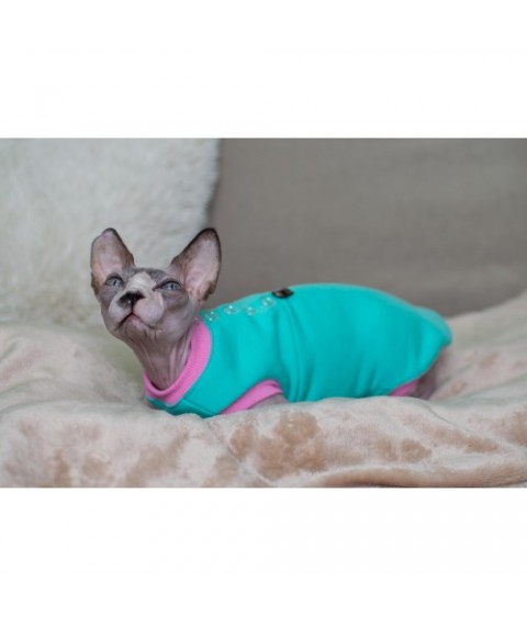 Тепла кофта без рукава для кота та кішки Style Pets «CLASSIC» turquoise